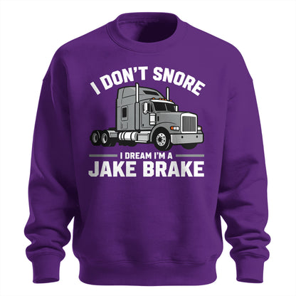 Jake Brake Dreamer Sweatshirt